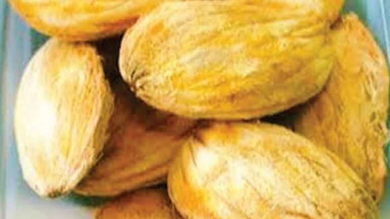 खबर खास | सेहत का खजाना छुपा है आम की गुठली में: ‘फलों के राजा’ का हर हिस्सा है बहुमूल्य!