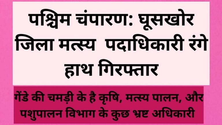 पश्चिम चंपारण: घूसखोर जिला मत्स्य पदाधिकारी रंगे हाथ गिरफ्तार