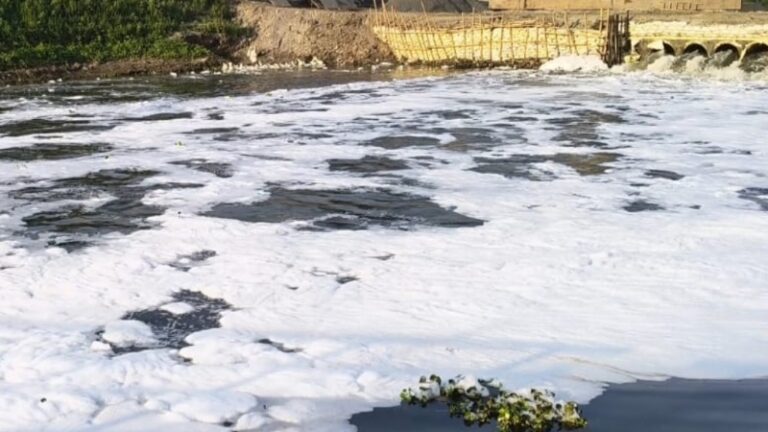 विशेष रिपोर्ट: ‘पुनपुन’ की पुकार— मोक्षदायिनी संगम पर ‘यमुना’ जैसा सफेद जहर, नमामि गंगे के दावों की खुली पोल