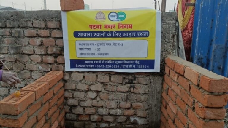 पटना को रेबीज मुक्त बनाने की तैयारी: 6 महीने में 7 हजार से अधिक कुत्तों का टीकाकरण, अब हर वार्ड में बनेंगे ‘फीडिंग जोन’